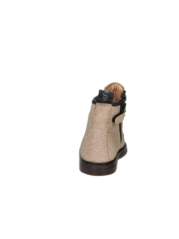 ANFIBI PP0477-88 PLATINO