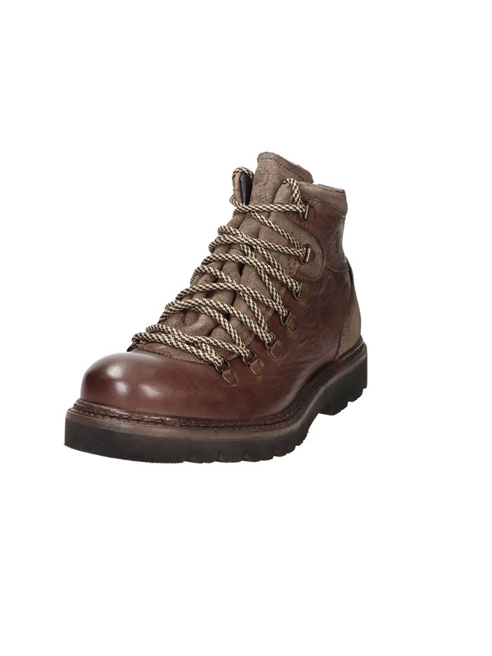 ANFIBI 102217004 MARRONE