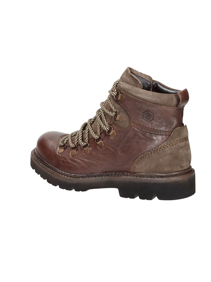 ANFIBI 102217004 MARRONE