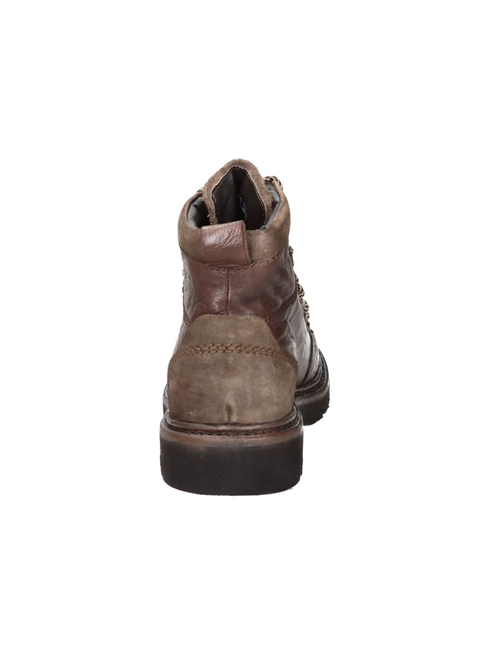 ANFIBI 102217004 MARRONE