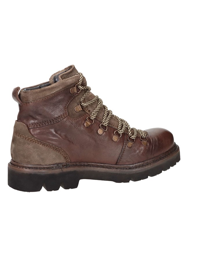 ANFIBI 102217004 MARRONE