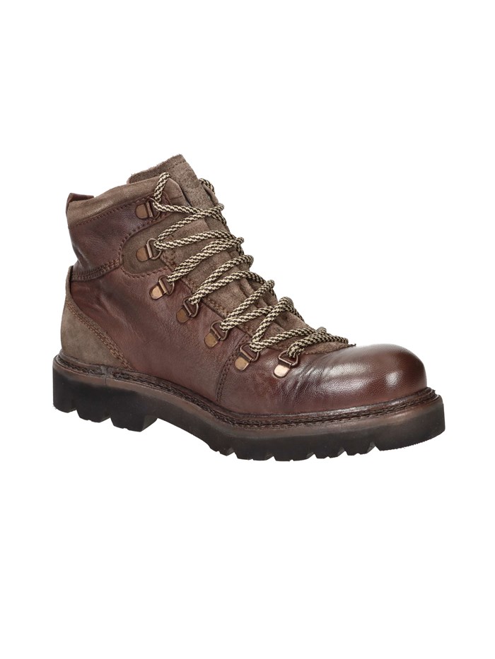 ANFIBI 102217004 MARRONE