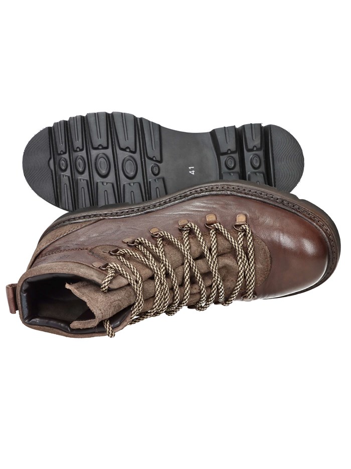 ANFIBI 102217004 MARRONE