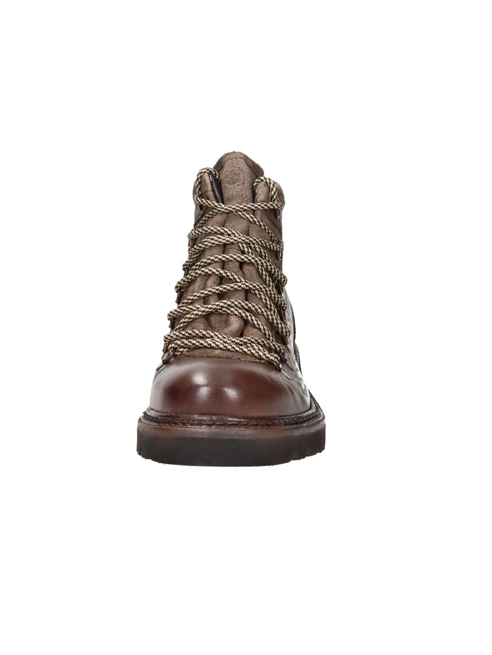 ANFIBI 102217004 MARRONE