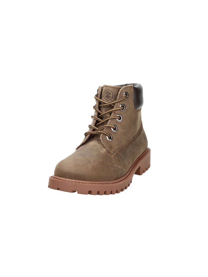 ANFIBI 102226798 MARRONE