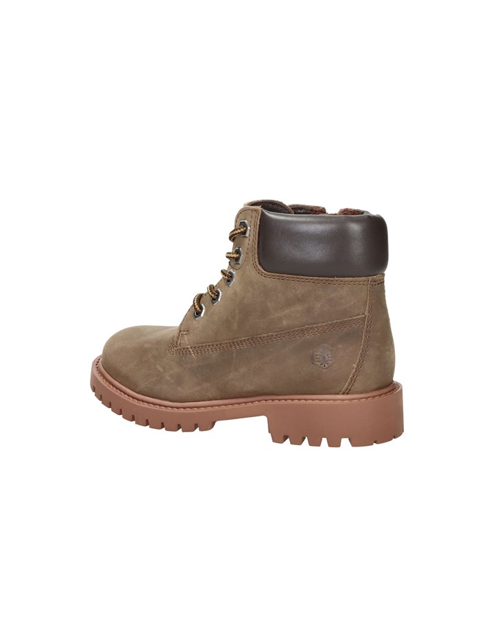 ANFIBI 102226798 MARRONE