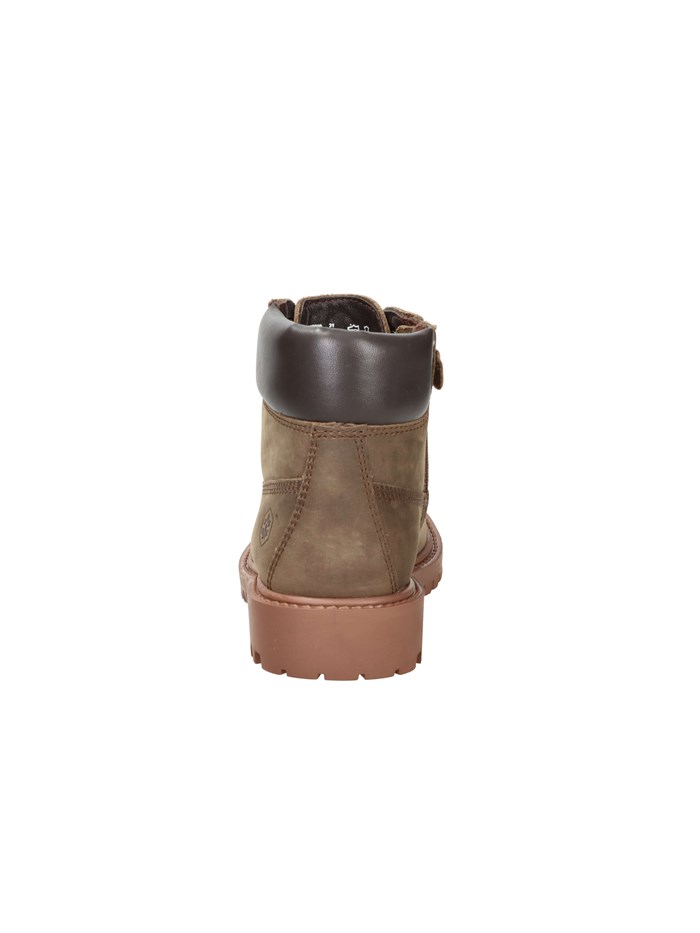 ANFIBI 102226798 MARRONE