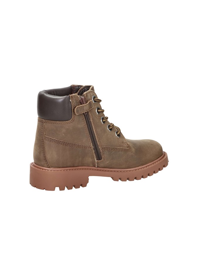 ANFIBI 102226798 MARRONE