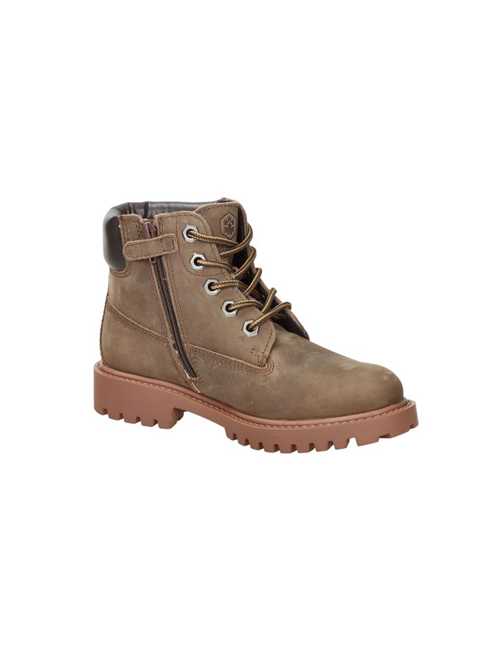 ANFIBI 102226798 MARRONE
