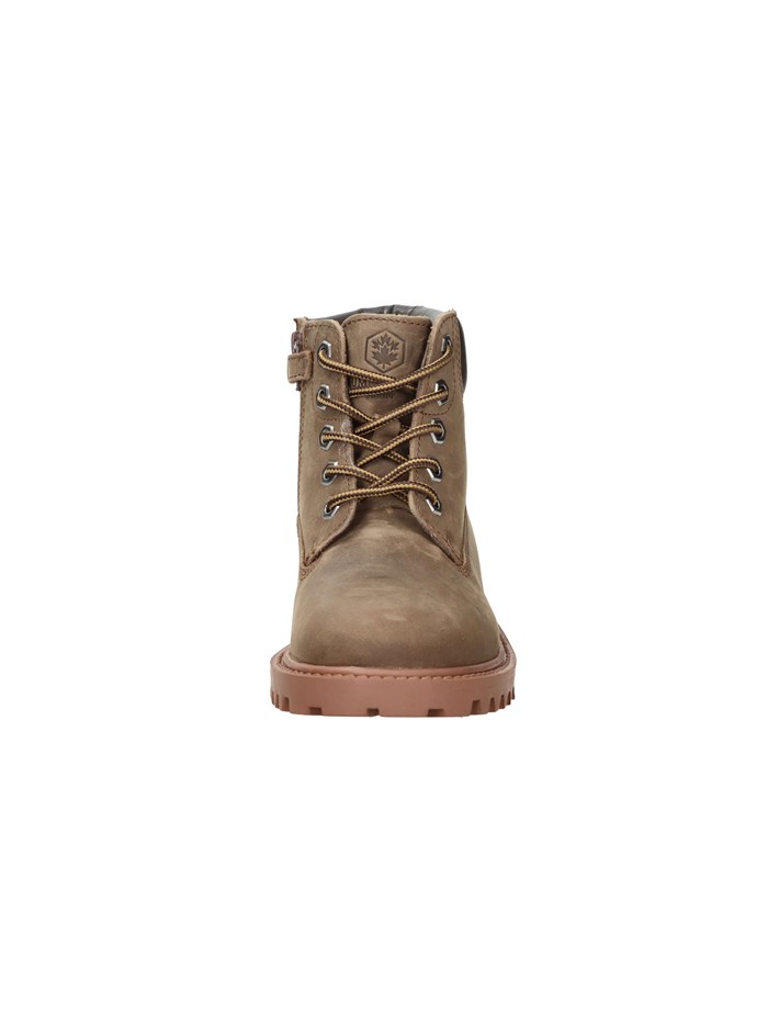 ANFIBI 102226798 MARRONE