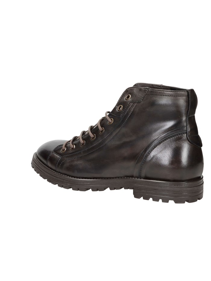 ANFIBI 2091 MARRONE