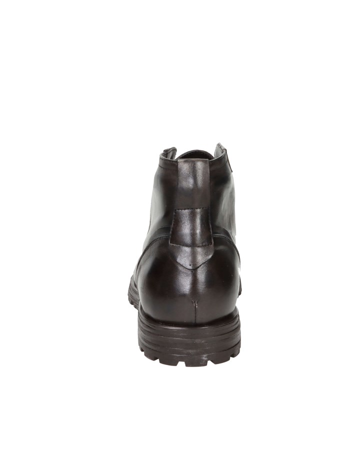 ANFIBI 2091 MARRONE