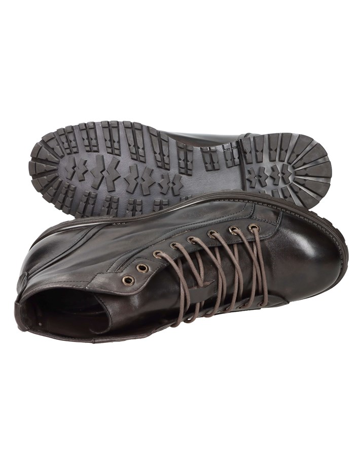 ANFIBI 2091 MARRONE