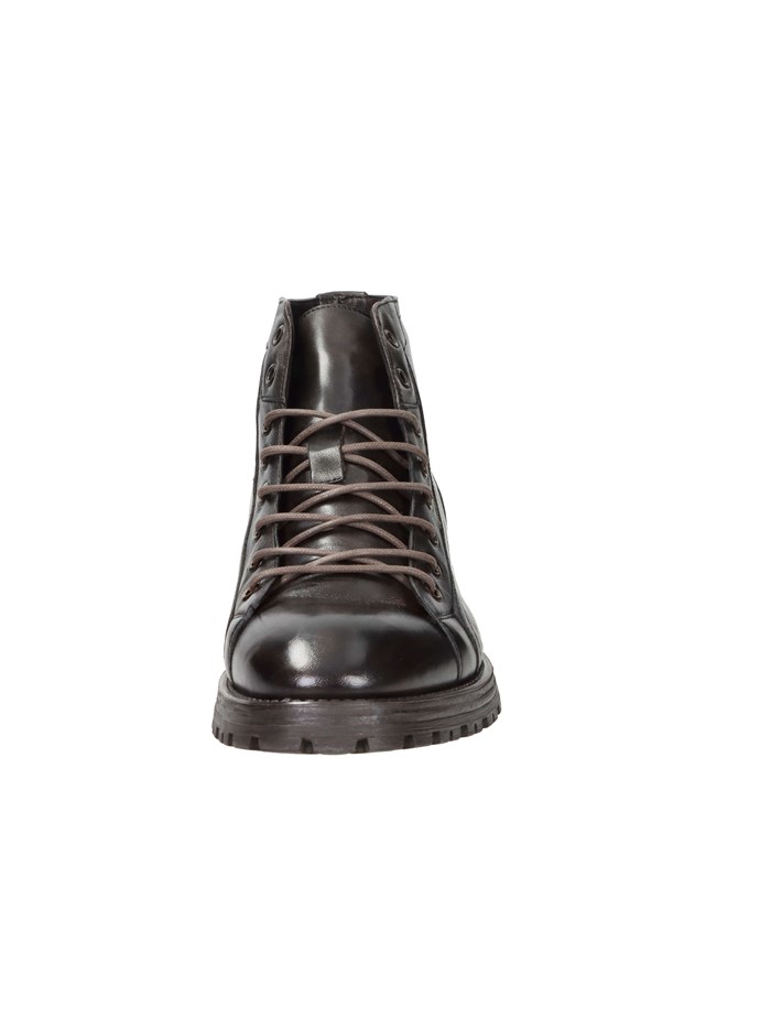 ANFIBI 2091 MARRONE