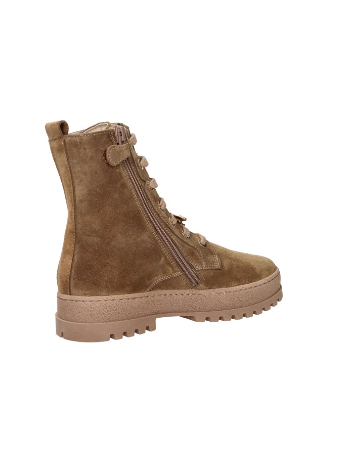 ANFIBI C7860.24 CAMMELLO