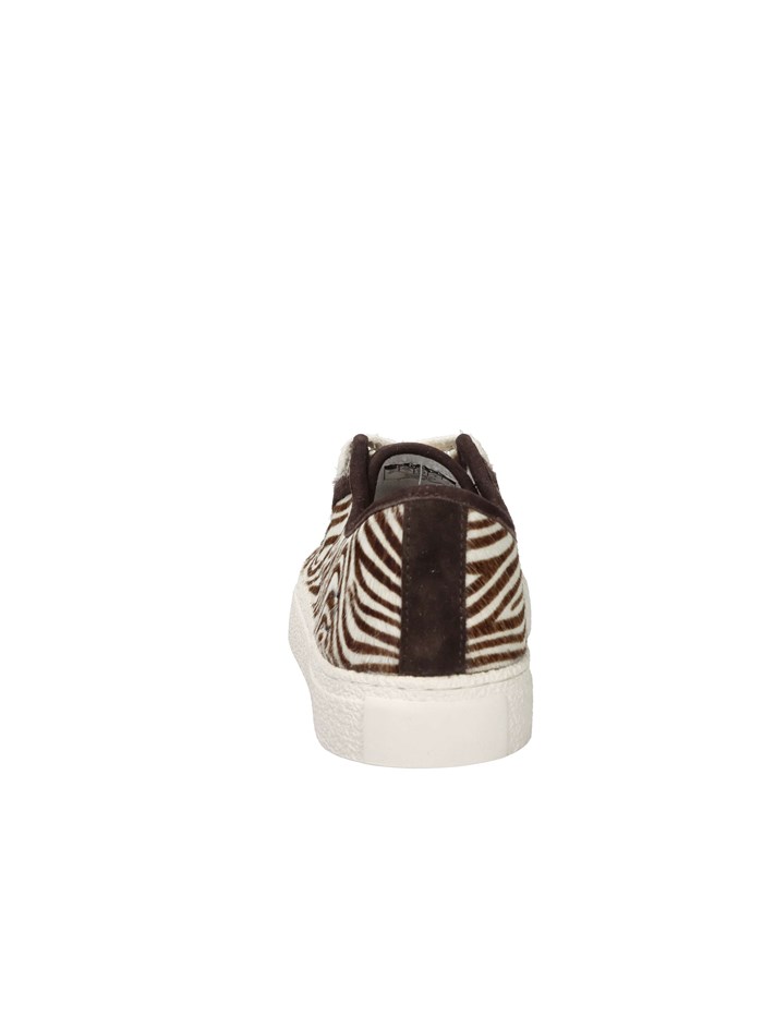 SNEAKERS BASSA W431-TE-AN-ZB MARRONE