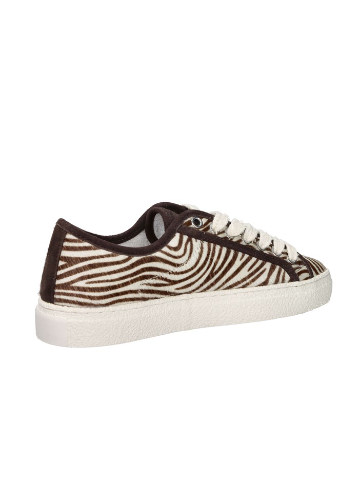 SNEAKERS BASSA W431-TE-AN-ZB MARRONE
