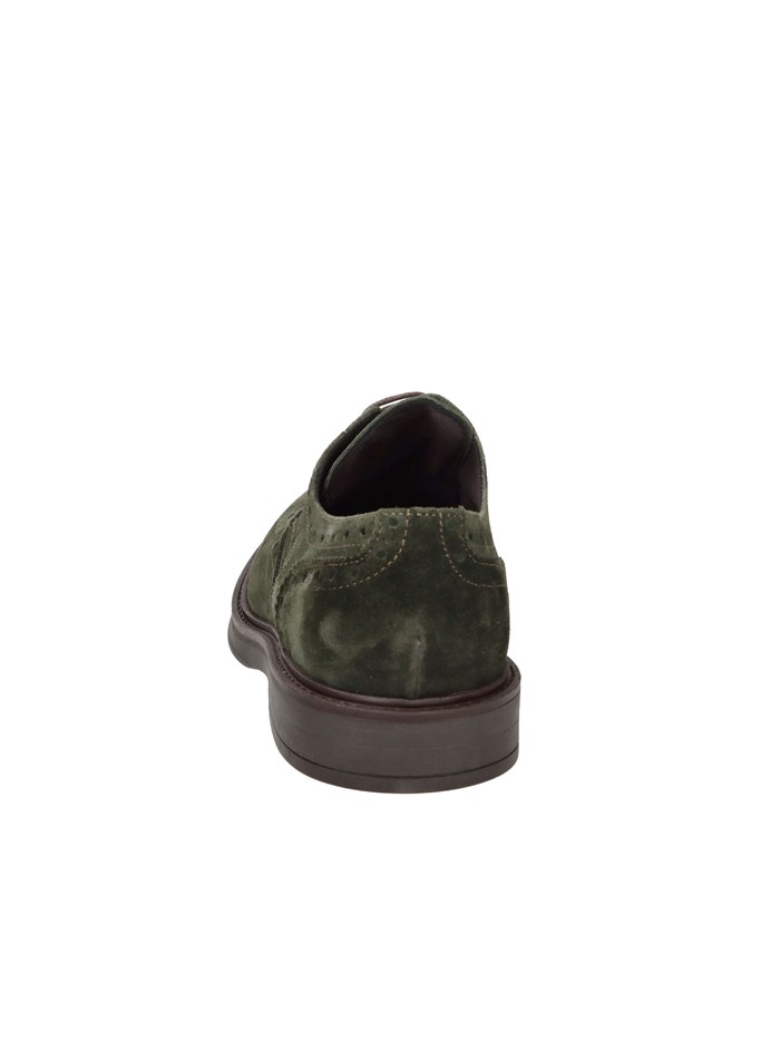 FRANCESINA AR612 VERDONE