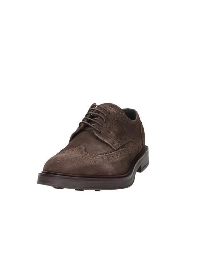 FRANCESINA AR612 MARRONE