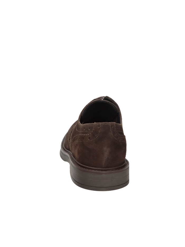 FRANCESINA AR612 MARRONE