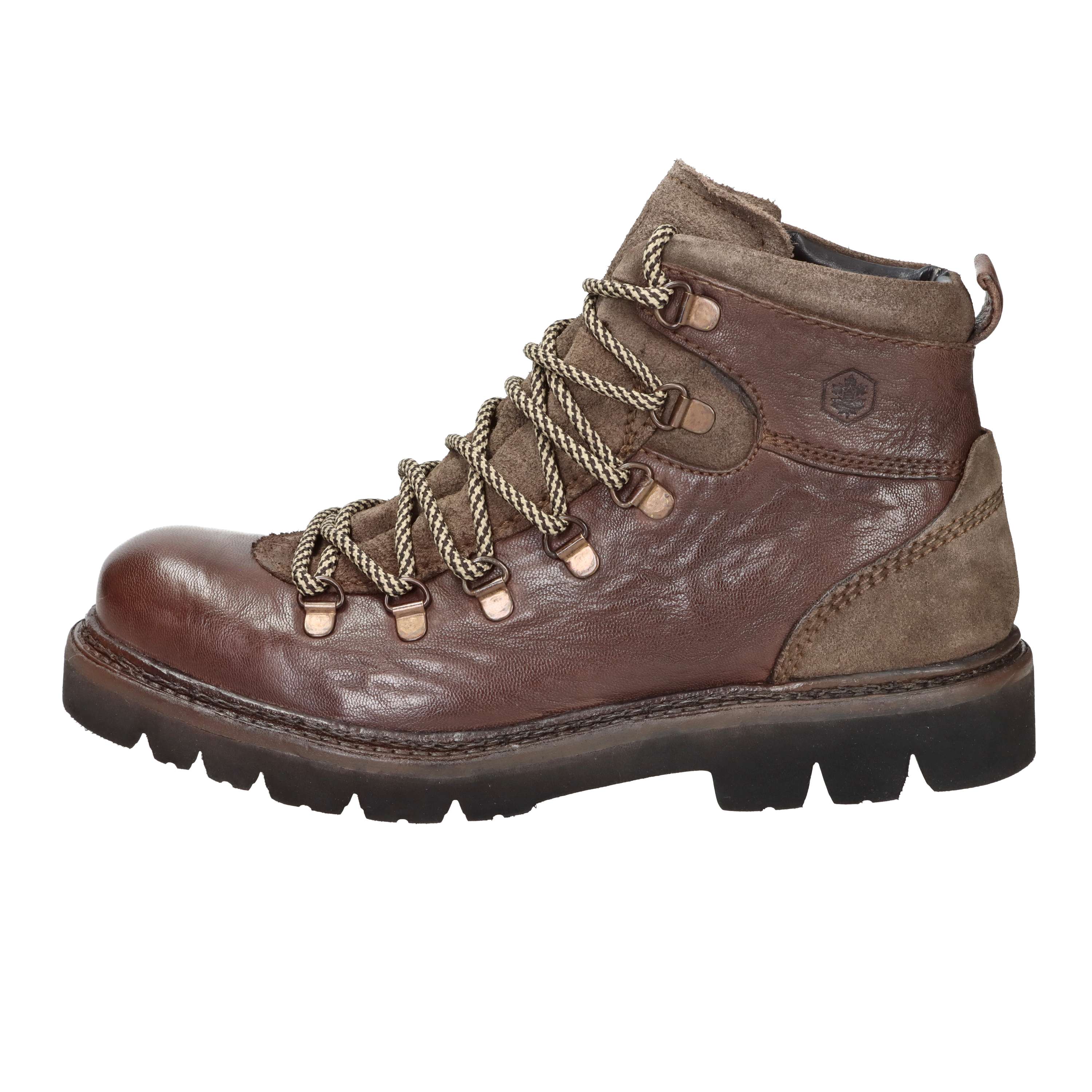 ANFIBI 102217004 MARRONE