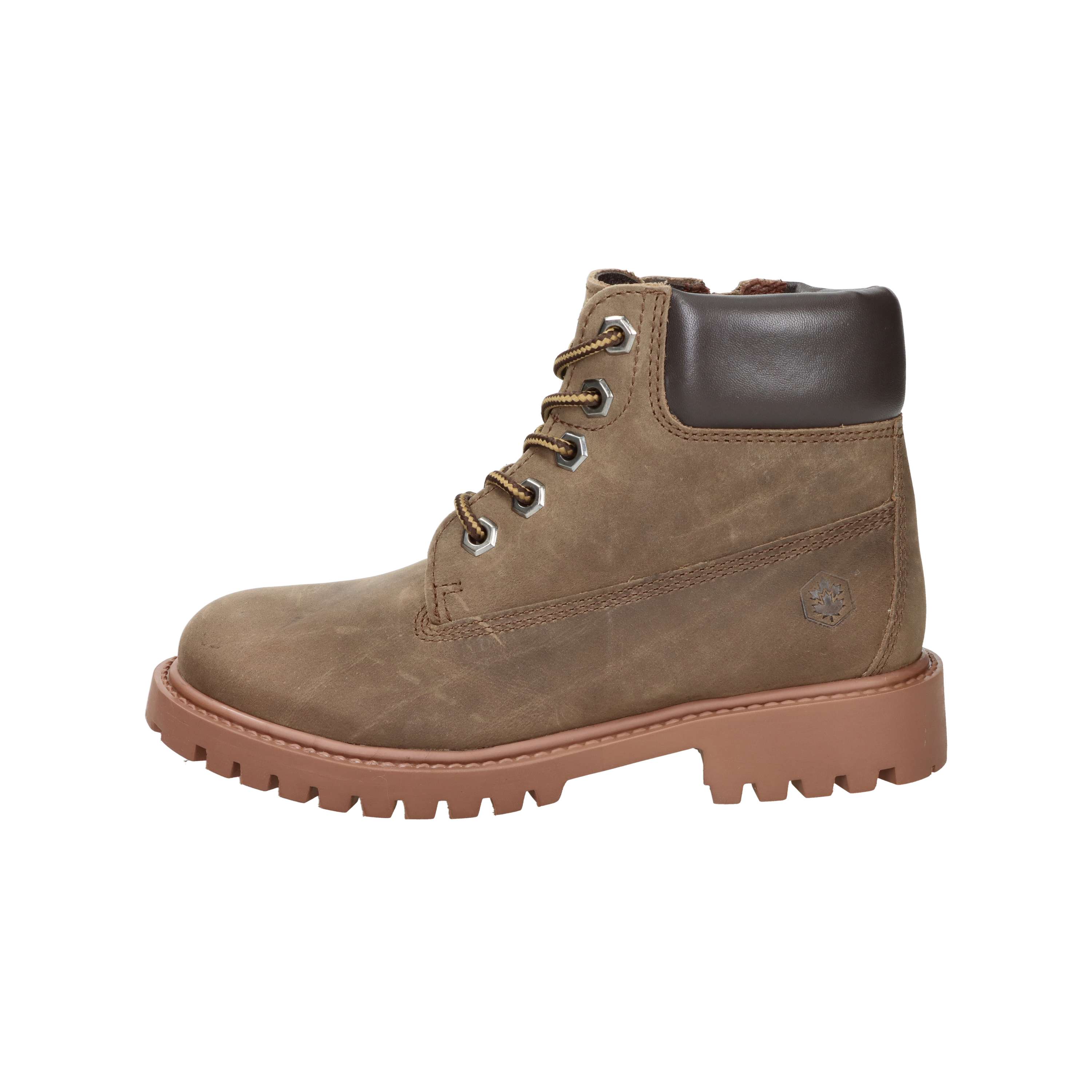 ANFIBI 102226798 MARRONE